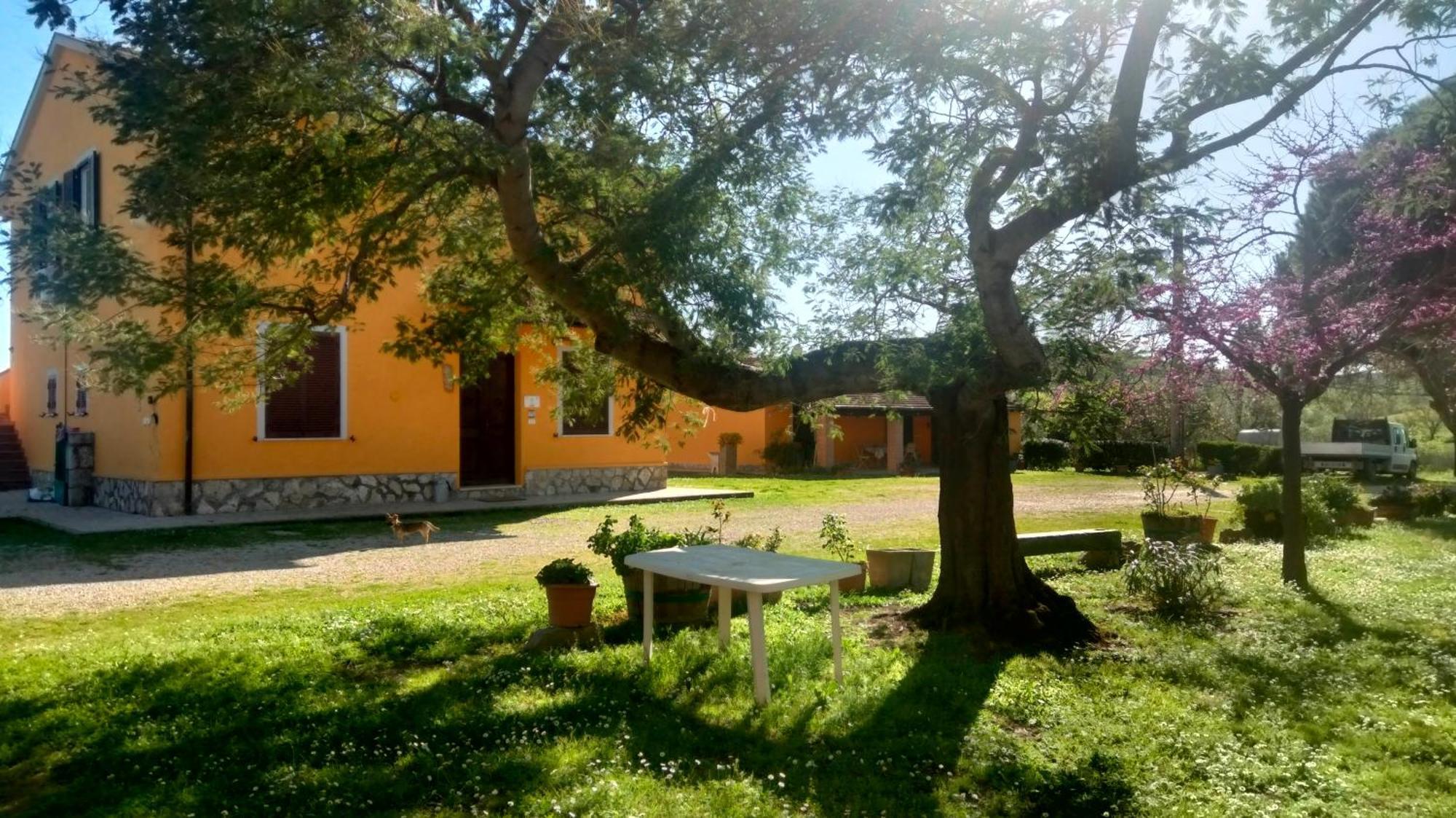 Agriturismo Da Remo Magliano in Toscana Rum bild