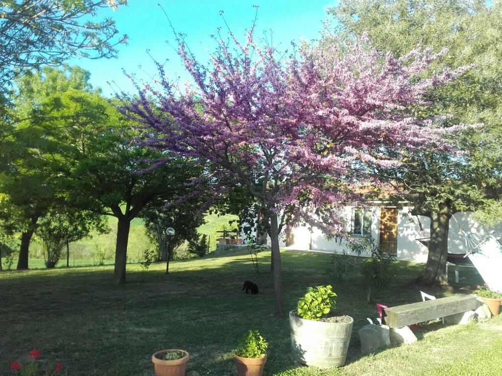 Agriturismo Da Remo Magliano in Toscana Exteriör bild