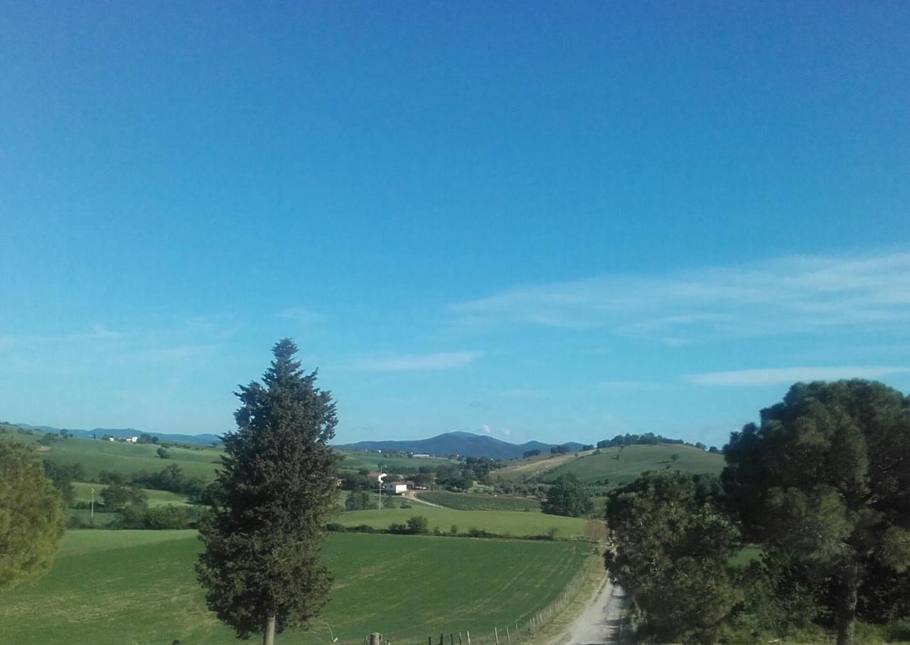 Agriturismo Da Remo Magliano in Toscana Exteriör bild