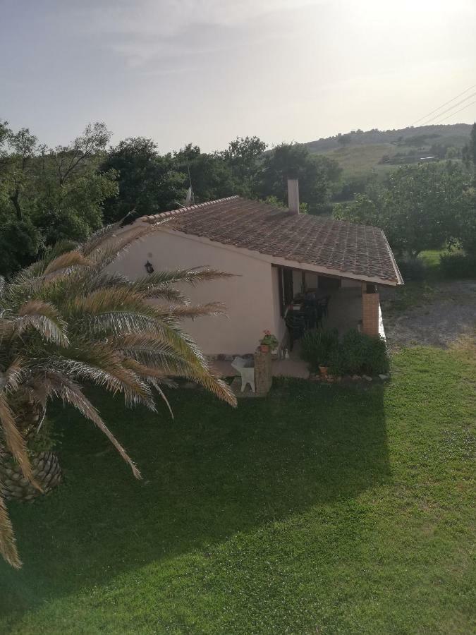 Agriturismo Da Remo Magliano in Toscana Exteriör bild